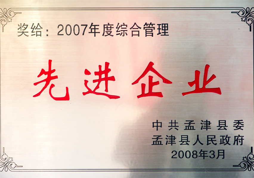 2007年度综合管理先进企业