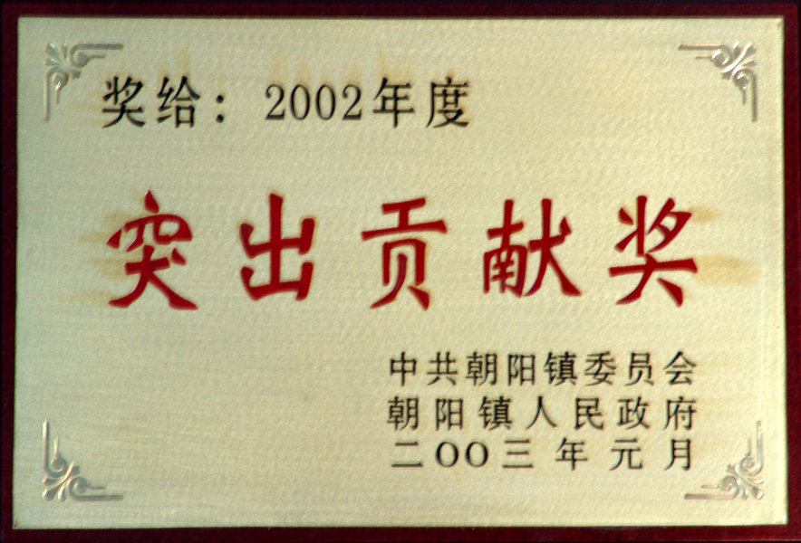 2002年突出贡献奖