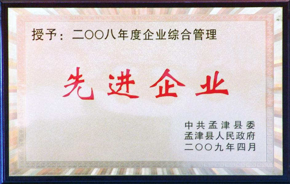 2008年企业综合管理先进企业
